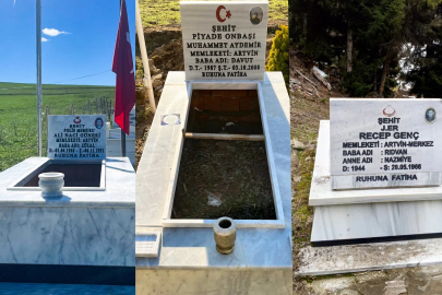 Artvin'de şehit mezarlarına bakım