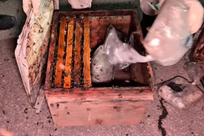 Arı kovanlarının arasından 91 kilo uyuşturucu çıktı