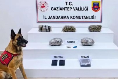 32 ilde yüzlerce kilo uyuşturucu ele geçirildi